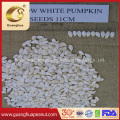 Hot Sale 2021 Snow White Pumpkin Seeds